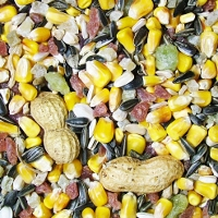 Squirrel & Wildlife Food